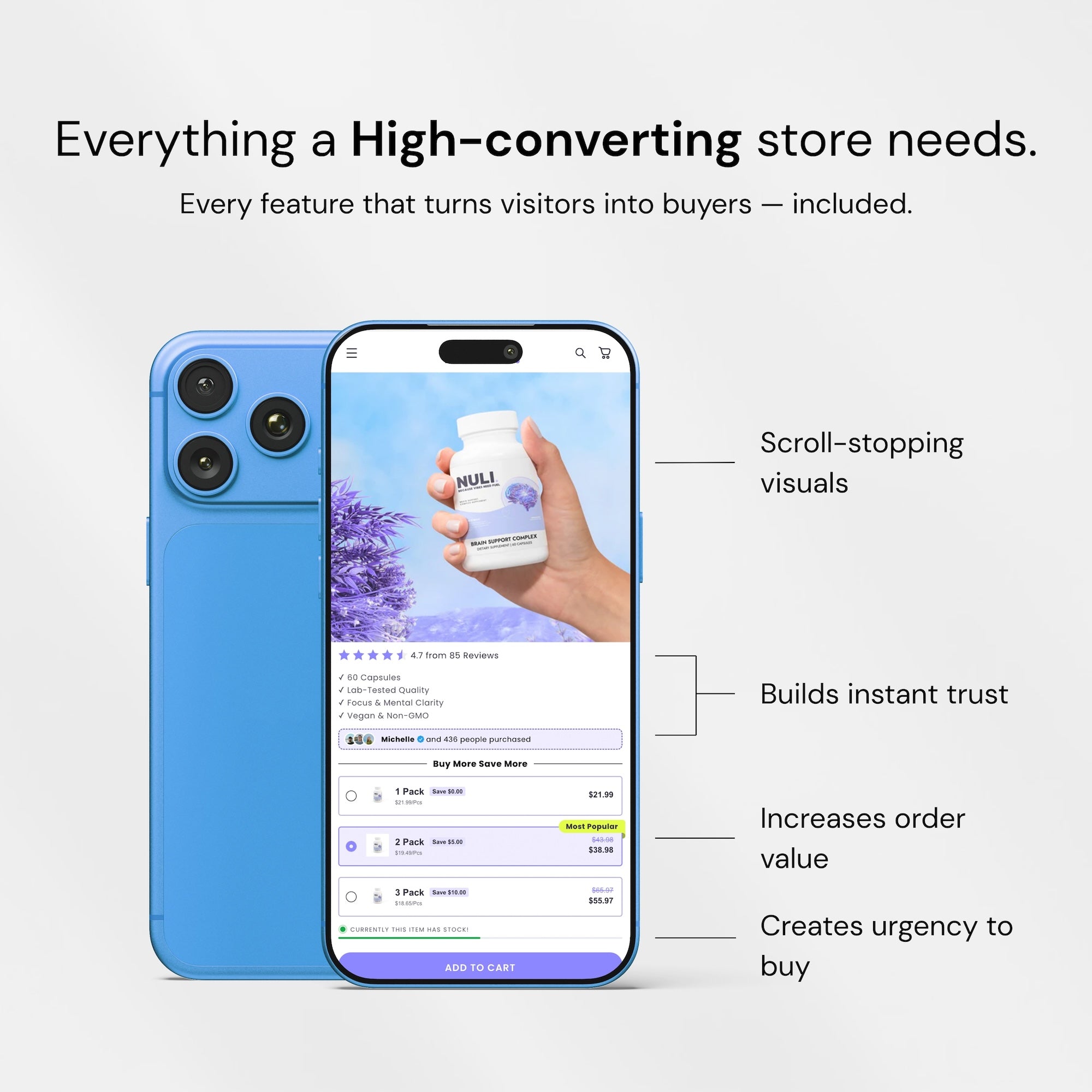 Ready-Made Branded Dropshipping Store