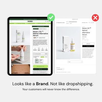 Ready-Made Branded Dropshipping Store
